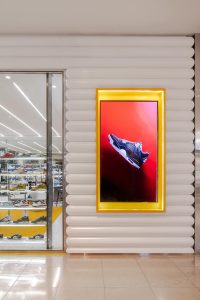 The Archive Store - Chadstone